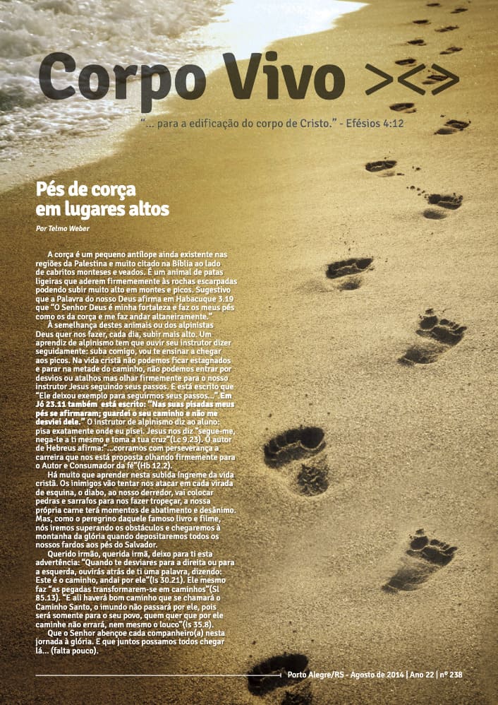 Agosto de 2014 | Ano 22 | nº 238